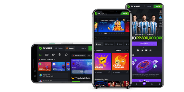Experience the Excitement of BCGame Online Casino