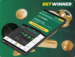 Understanding the BetWinner Login Process A Complete Guide