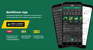 In-Depth BetWinner Reviews What You Need to Know